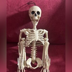 Decorative Skeleton Figure